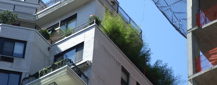Plants in a balcony of a tall building