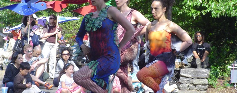 Dance at Harlem Meer Celebrate Urban Birds Event