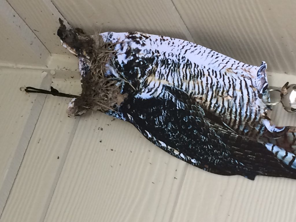 Barn Swallow Nest Deterrent CUBS