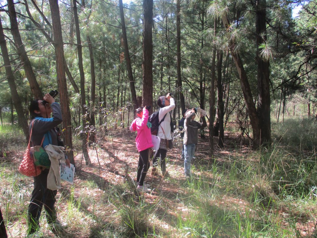 Observando Las Aves Maravillosas De Tlaxcala En M Xico Celebrate