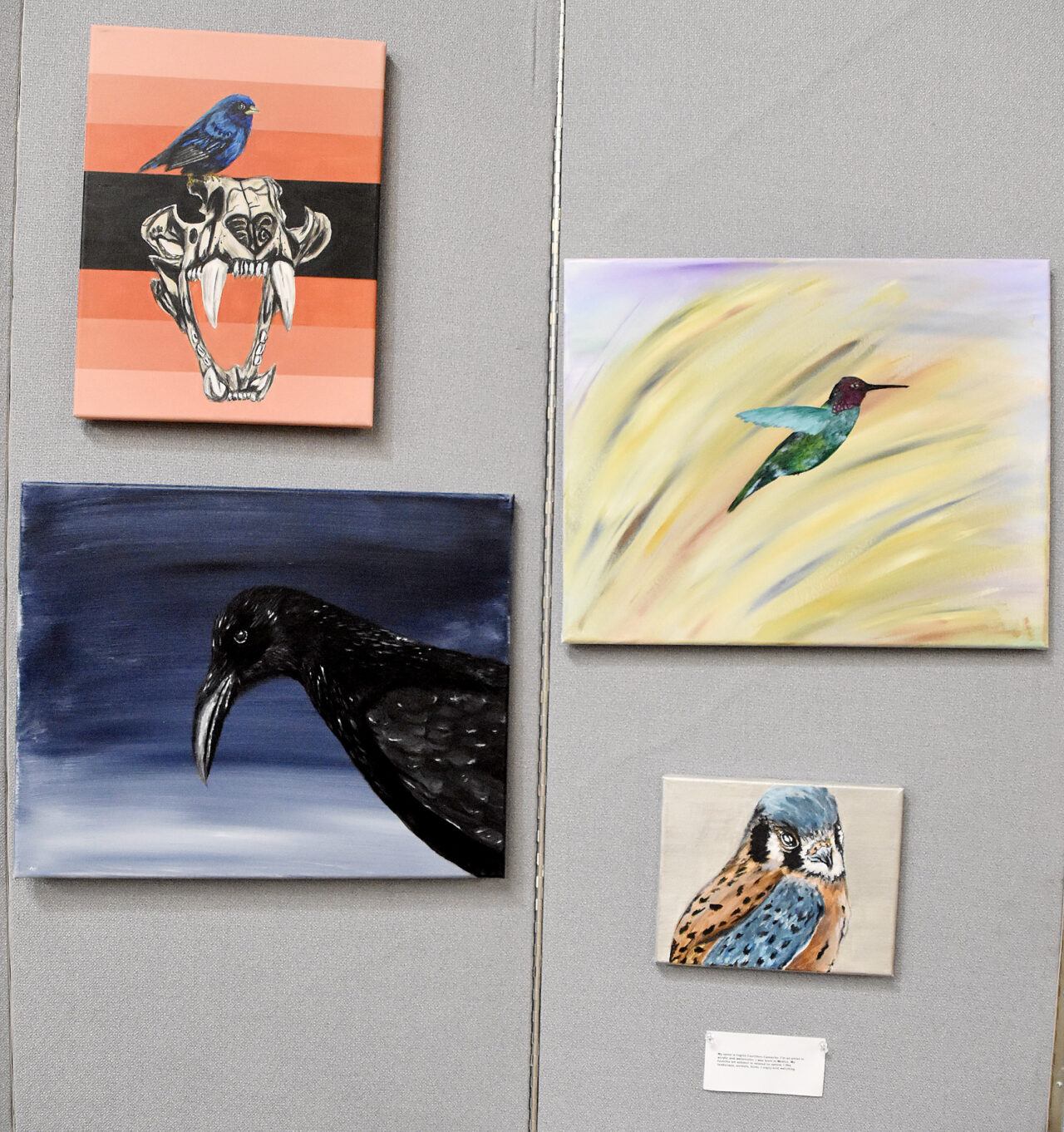 Various paintings of birds