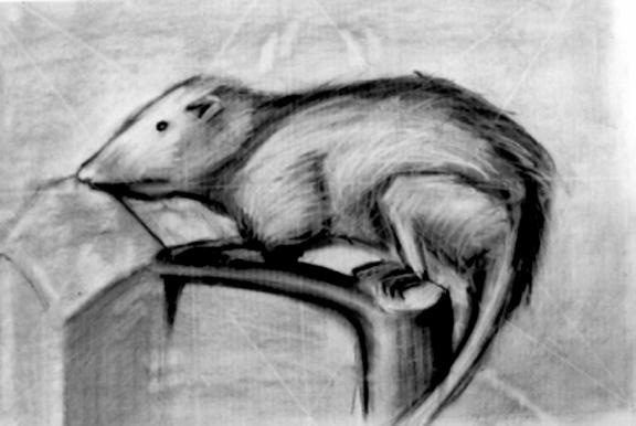 Sketch by a prison inmate