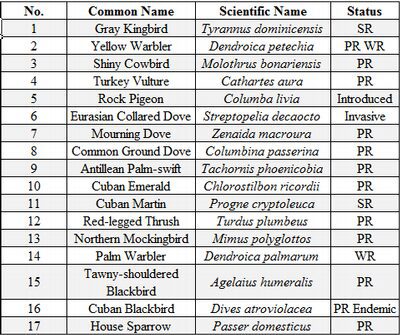 Observed Birds List from the National History Museum of Cuba Participants