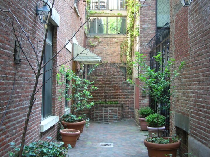 Plant pots in a urban halway