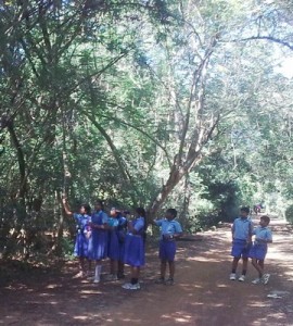 Students observe birds in a forest in India