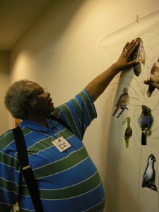presenting and explaining a poster of birds
