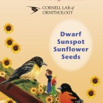 Celebrate Urban Birds Seed Packet
