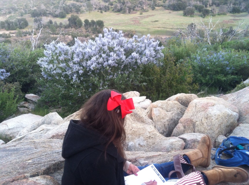 Cuyamaca Outdoor School Celebrate Urban Birds
