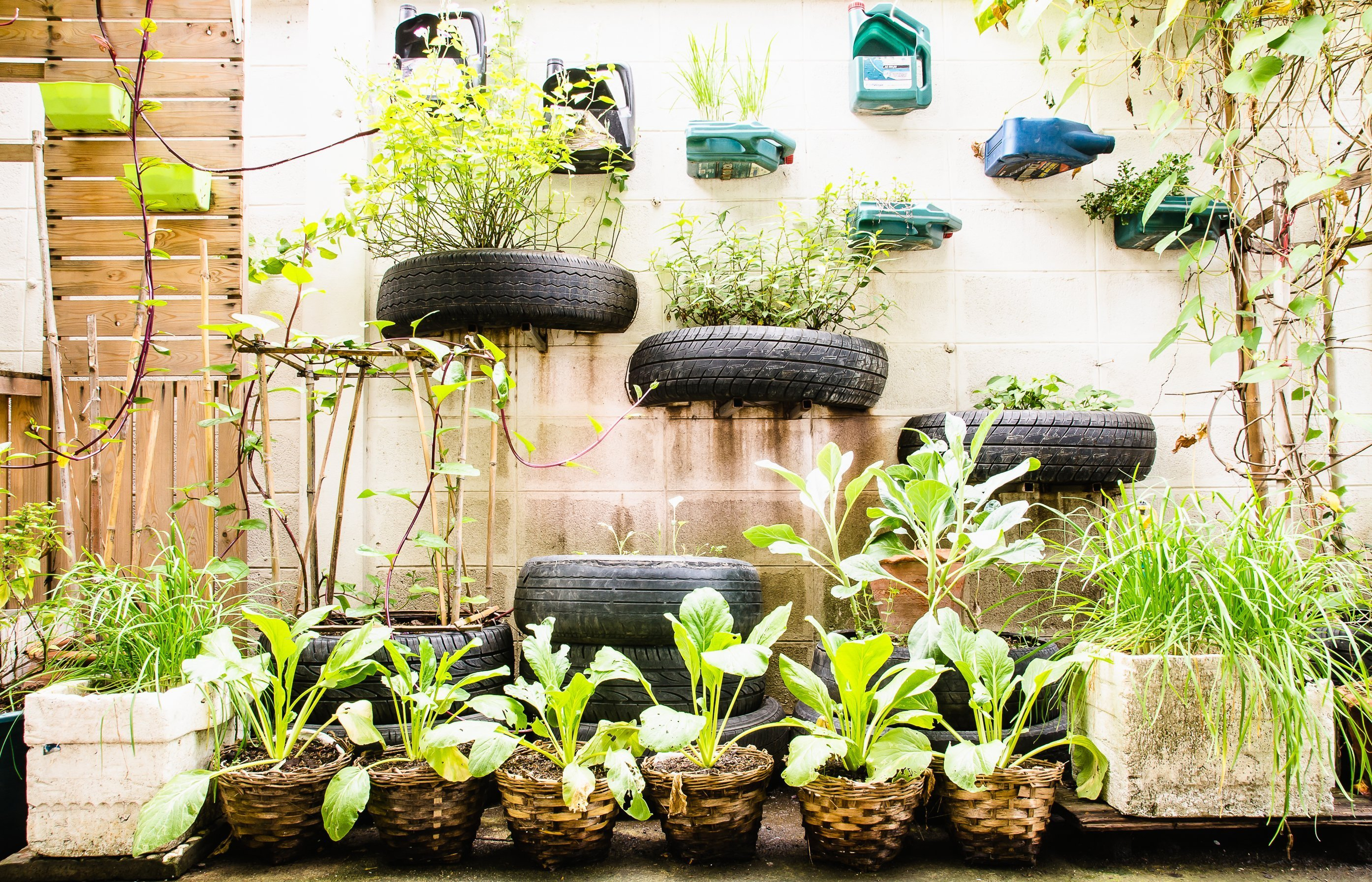 stock photo garden in urban at sukumwit bangkok 360954980