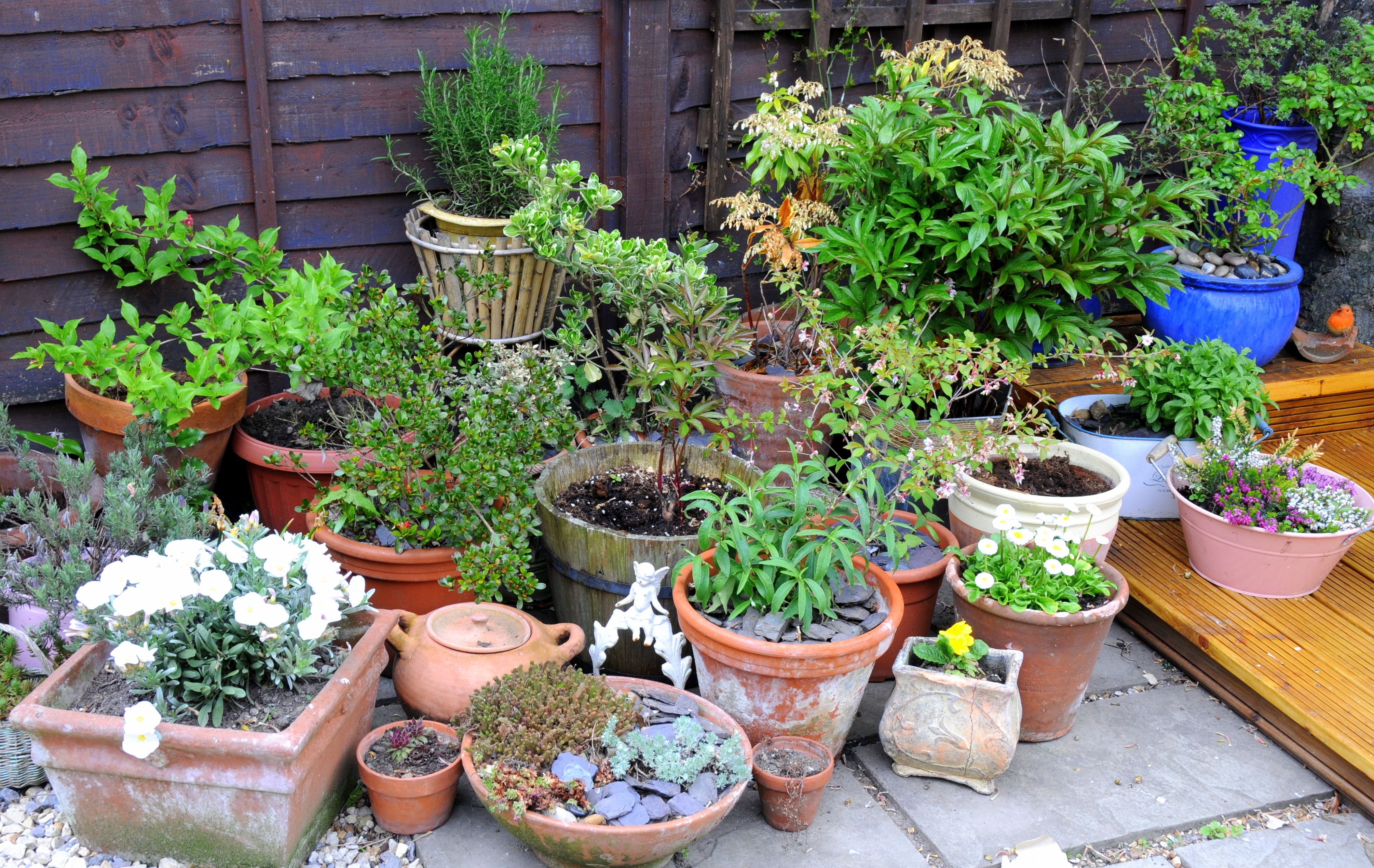 III. Choosing the Right Containers for Urban Gardening