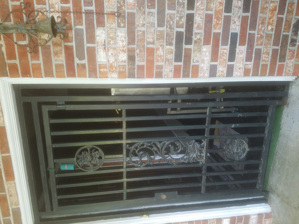 Carolina Wren made a nest in a silk flower pot Celebrate Urban Birds