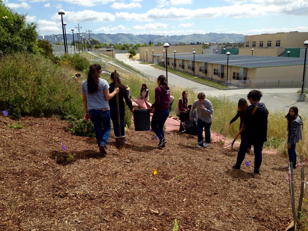 collaboratory wetlands watch