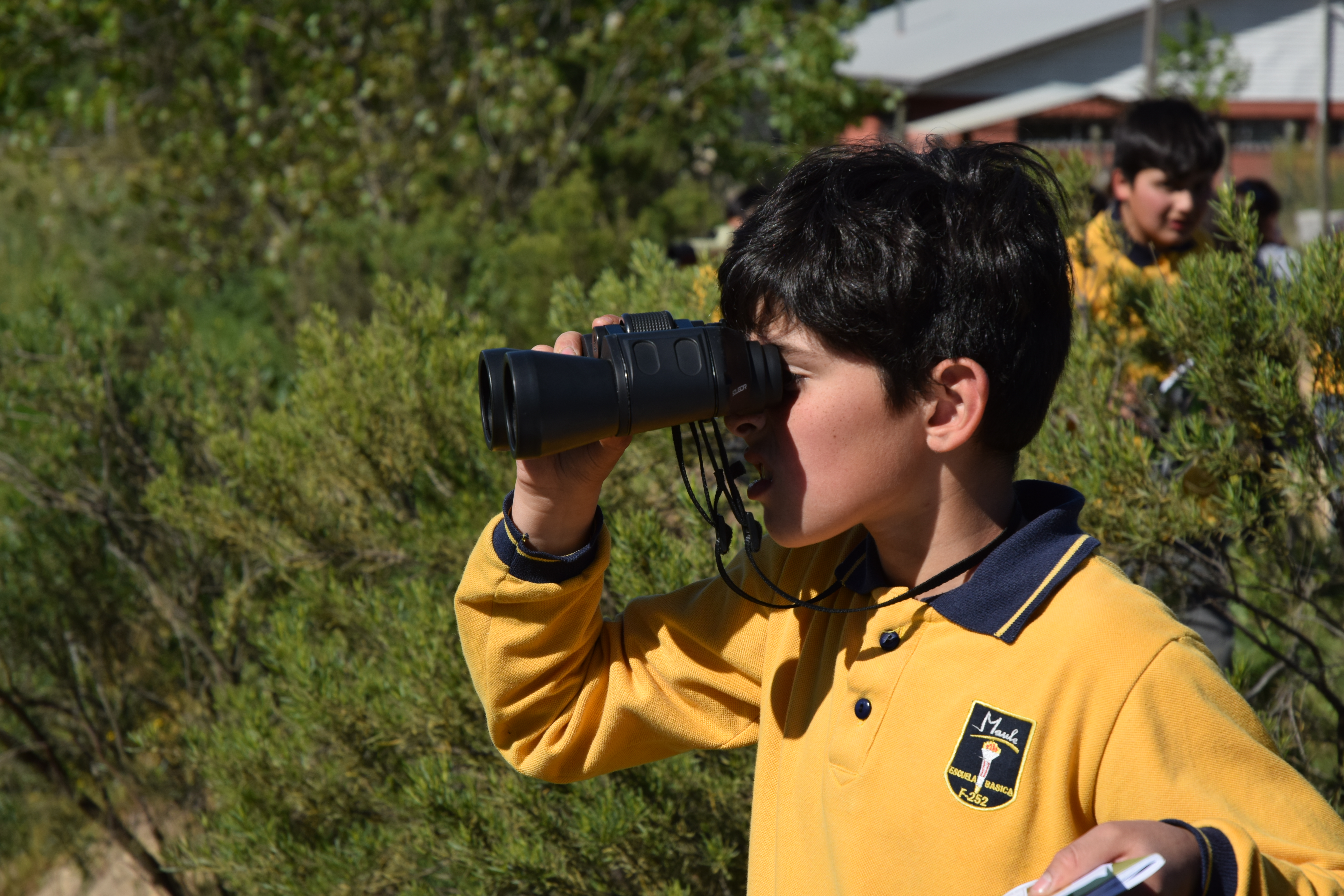 Club de Ornitólogos del Maule 2