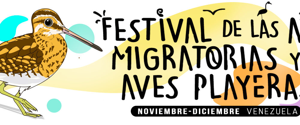 Banner of Festival Aves Migratorias y Aves Playeras de Venezuela