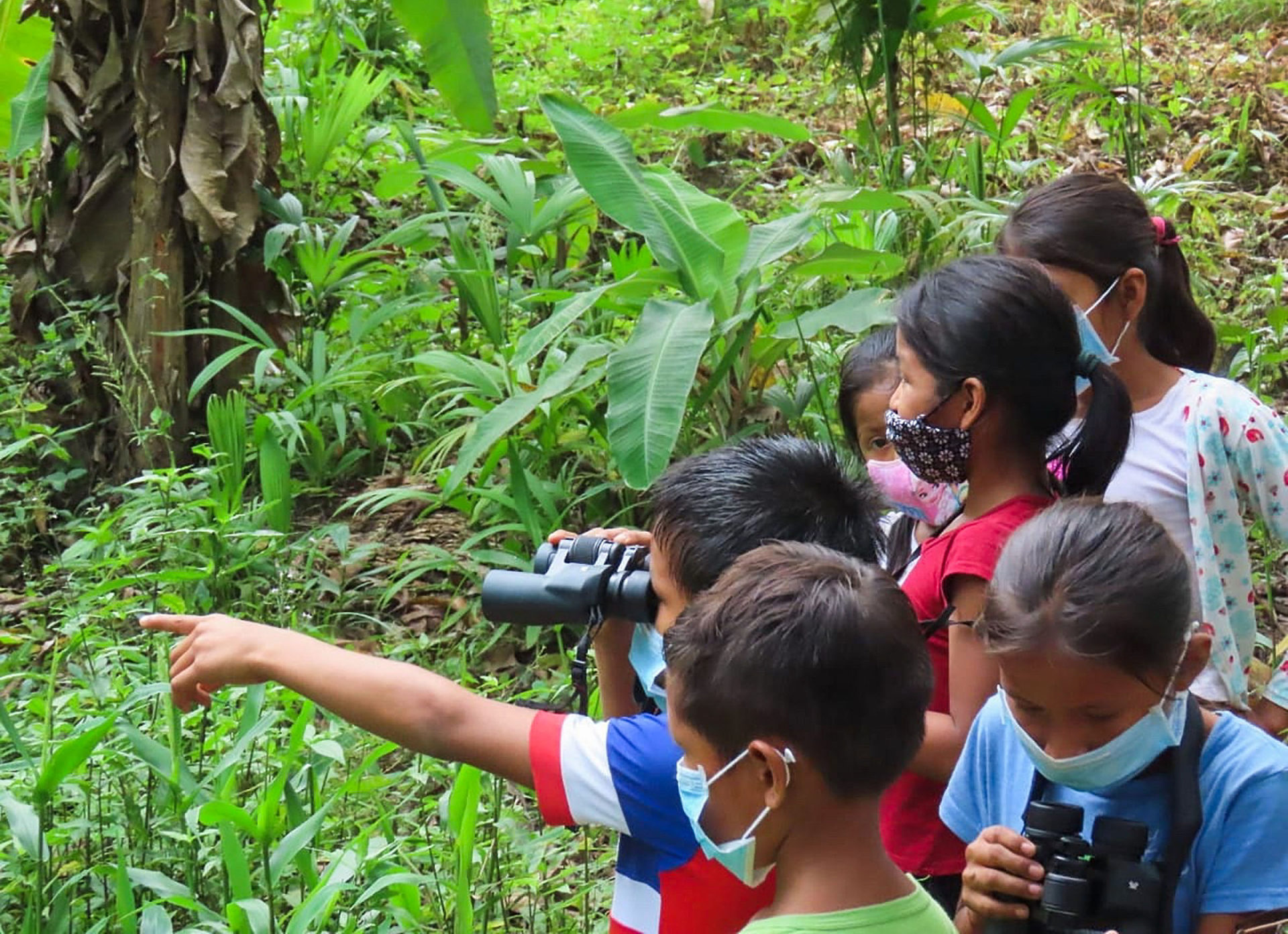 children birdwatching in peruvian amazon