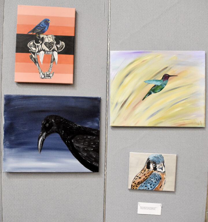 Various paintings of birds
