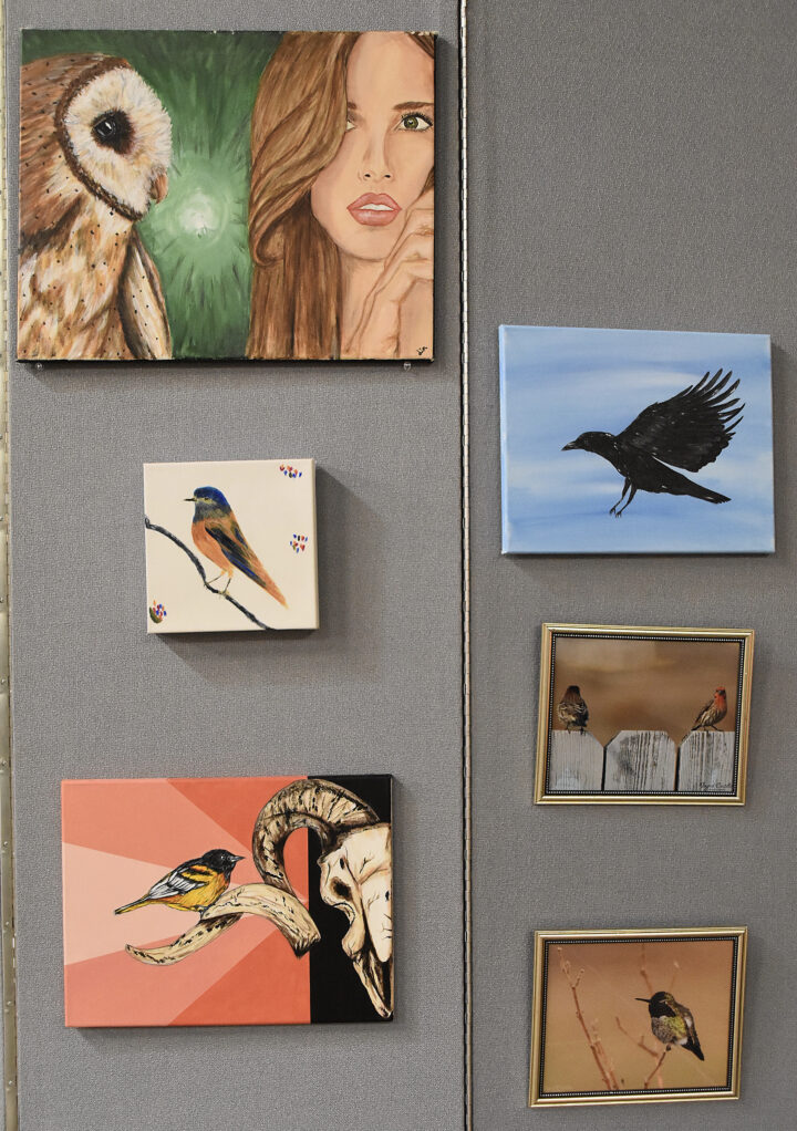 Various drawings, paintings and photos of birds