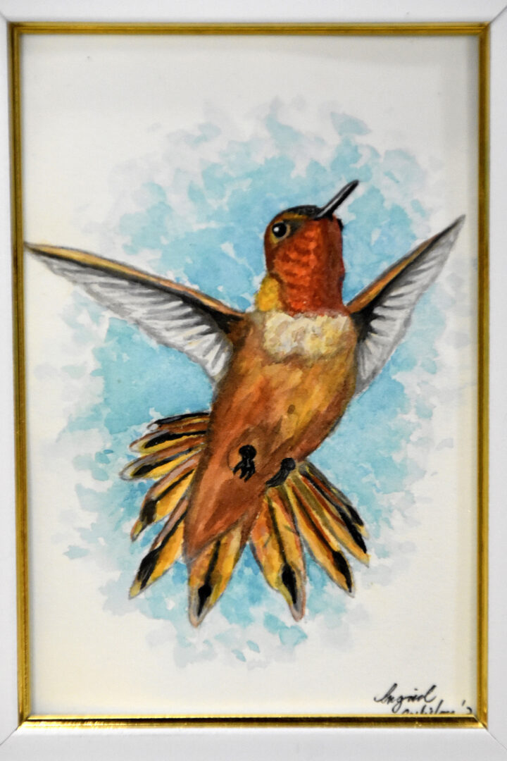 Drawing of a hummingbird