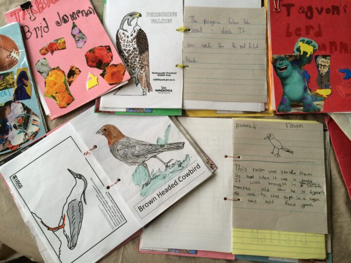 Drawings, collages and activity books