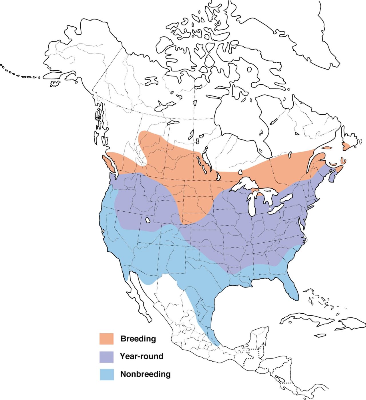 Range map for American Goldfinch in the US, Canada and Mexico